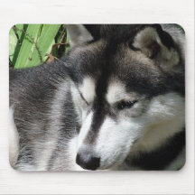 Siberian Husky Profile Mouse Pad