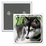 Siberian Husky Profile Pin