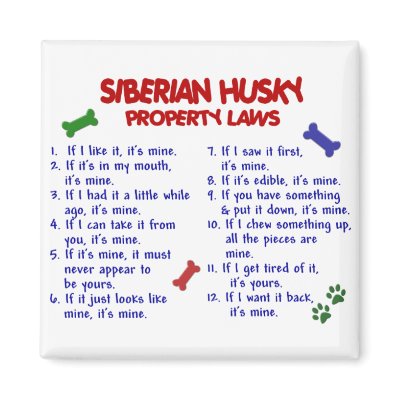 SIBERIAN HUSKY Property Laws 2 fridge magnets