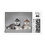 Siberian Husky puppies Stamps