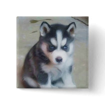 Siberian Husky puppy art Pinback Button