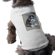 Siberian Husky puppy art Pet Shirt