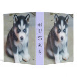 Siberian Husky puppy binder