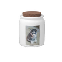 Siberian Husky puppy Candy Jar