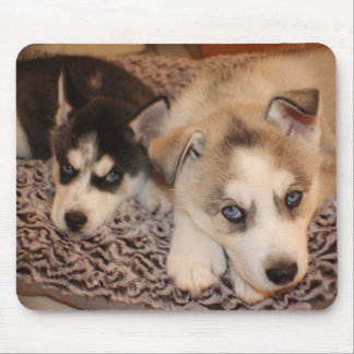 Siberian Husky Puppy Mouse Pads