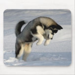 Siberian Husky puppy playing in the snow. Mousepad