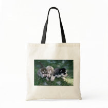 Siberian Husky pups, 3 weeks Tote Bags