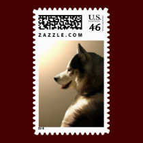 Siberian Husky Stamps Sled Dog Postage Stamps stamps
