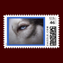 Siberian Husky Stamps Sled Dog Postage Stamps stamps