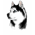 Siberian Husky T-Shirt by Lotacats Siberian Husky T-Shirt