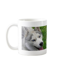 Siberian Husky Template mugs by CuriousCafe Siberian Husky Template mugs