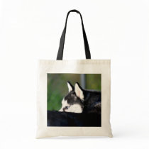 Siberian Husky tote bag