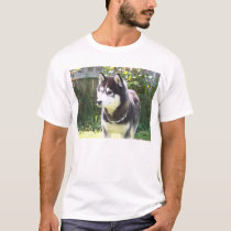 Siberian Husky t-shirts by Goldberry527 Siberian Husky t-shirts