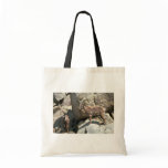 Siberian ibex tote bag