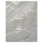 Siberian ibex personalized letterhead