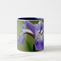 Siberian Iris Coffee Cup Mugs