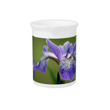Siberian Iris Pitcher