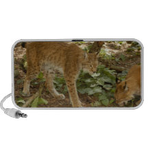 siberian lynx 012 speaker system