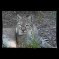 siberian lynx 017 placemats