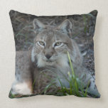 siberian lynx 017 throw pillows