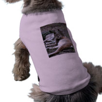 siberian lynx 022 pet clothing by NatureByDesign siberian lynx 022 pet clothing