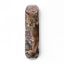siberian lynx 023 skateboards by BCRcats siberian lynx 023 skateboards