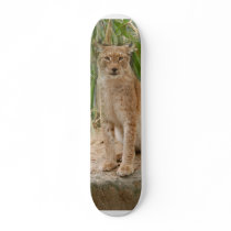 siberian lynx 040 skateboards by BCRcats siberian lynx 040 skateboards