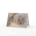 Siberian Silver Tabby Cat Card
