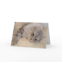 Siberian Silver Tabby Cat Card