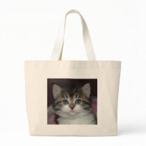 Siberian Tabby/White Kitten bags