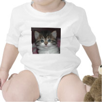 Siberian Tabby/White Kitten t-shirts