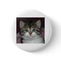 Siberian Tabby/White Kitten buttons