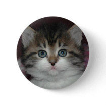 Siberian Tabby/White Kitten buttons