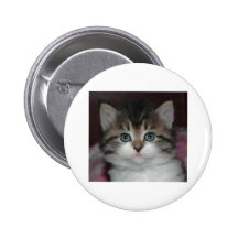 Siberian Tabby/White Kitten Buttons