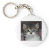 Siberian Tabby/White Kitten keychains