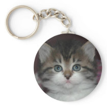 Siberian Tabby/White Kitten keychains