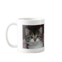 Siberian Tabby/White Kitten mugs