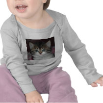 Siberian Tabby/White Kitten t-shirts