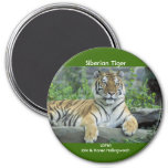 Siberian Tiger 3 Inch Round Magnet