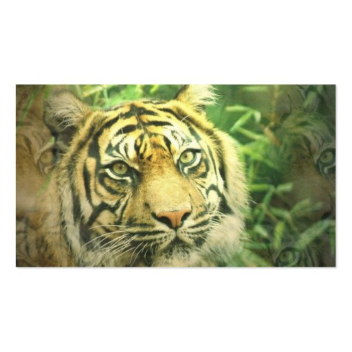 Siberian Tiger Business Card (back side)