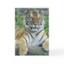 Siberian Tiger Card