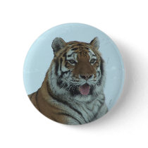 Siberian Tiger Close Up Face 2 buttons by thekingchivas Siberian Tiger Close Up Face 2 buttons