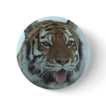 Siberian Tiger Close Up Face 2 Pins