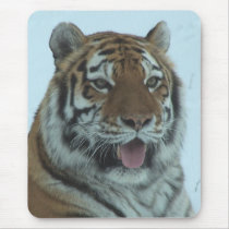Siberian Tiger Close Up Face 2 mousepads by thekingchivas Siberian Tiger Close Up Face 2 mousepads