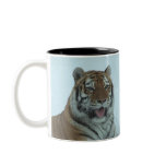 Siberian Tiger Close Up Face 2 mugs