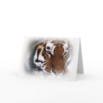 Siberian tiger Greeting card