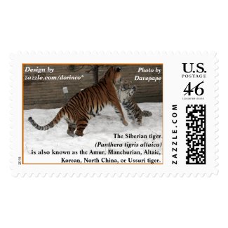 Siberian tiger hug postage stamps
