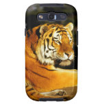 Siberian Tiger in the evening Samsung Galaxy S3 Case