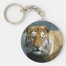 Siberian tiger in the water key chains