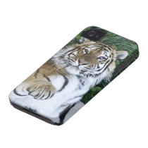 Siberian Tiger iPhone 4 Case casemate cases